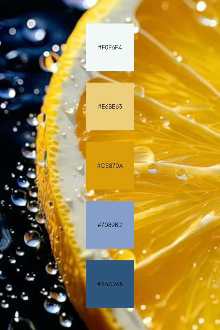 صورة الخبر 2